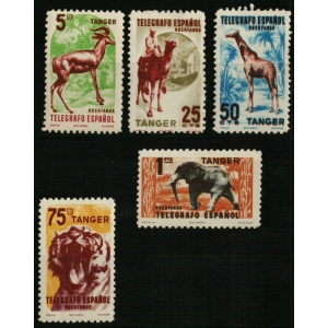 Huérfanos. Telégrafo Español. Tánger 1955 y 1957