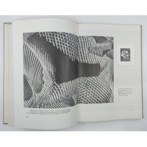 El arte de grabar el sello. José Luis Sánchez Toda. 1969 – imagen 7